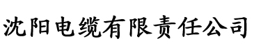 亚洲aⅴ精品一区二区三区电缆厂logo